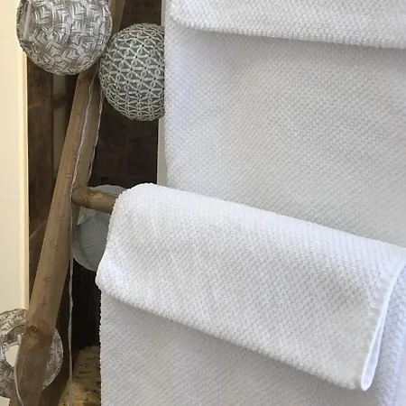 Apartment La Taniere De L'ours Blanc Aubagne-cassis-aix En Provence Aubagne