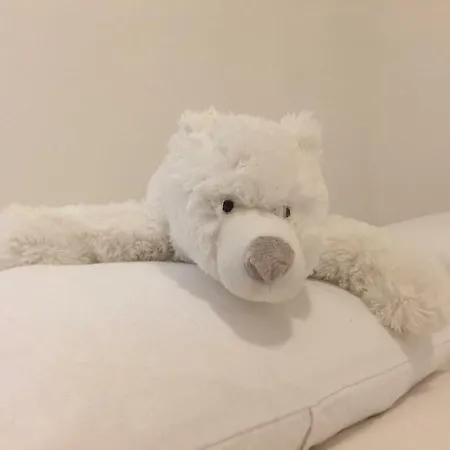 Apartamento La Taniere De L'ours Blanc Aubagne-cassis-aix En Provence *